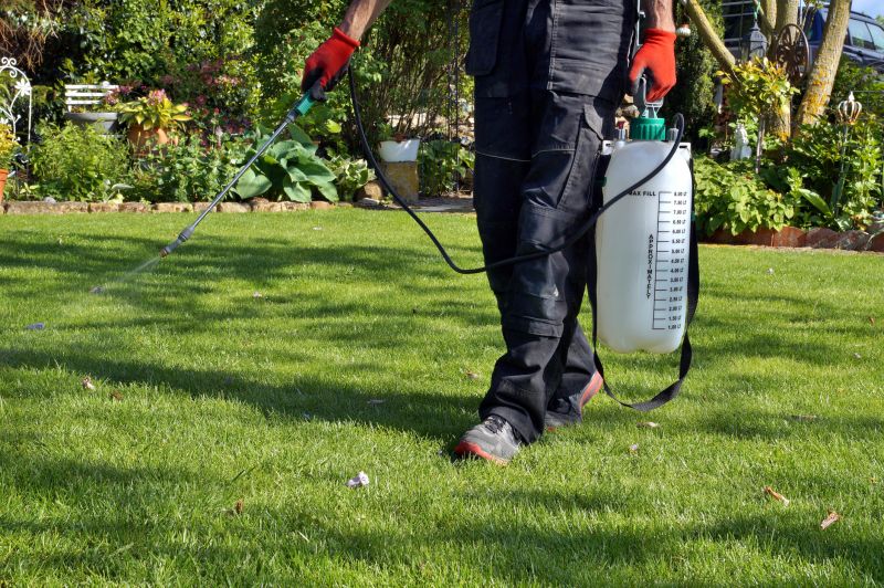 Lawn Weed Spraying Service
