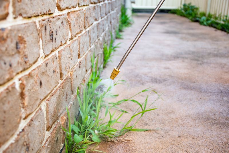 Lawn Herbicide Treatment in Aiken, SC