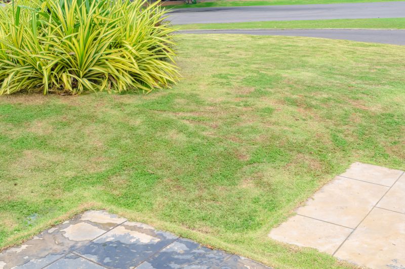 Lawn Treatment Service in Honolulu, HI