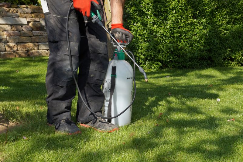 Lawn Weed Spraying in Aiken, SC
