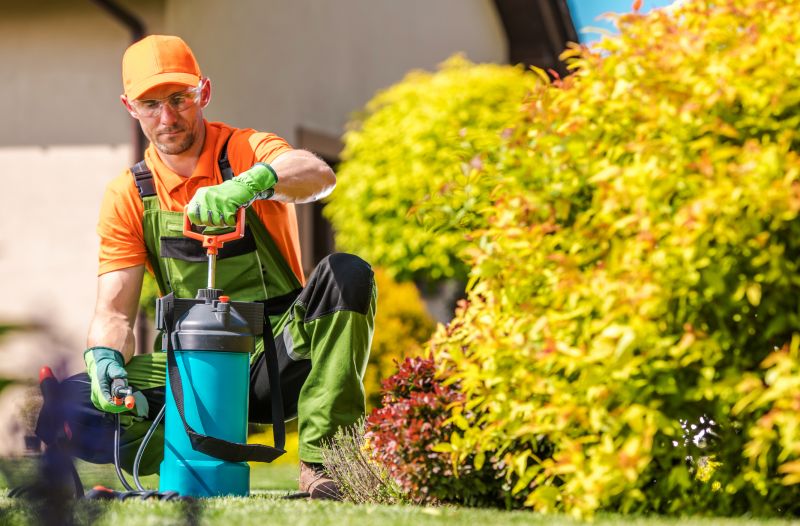 Yard Improvement Service in Ventura County, CA