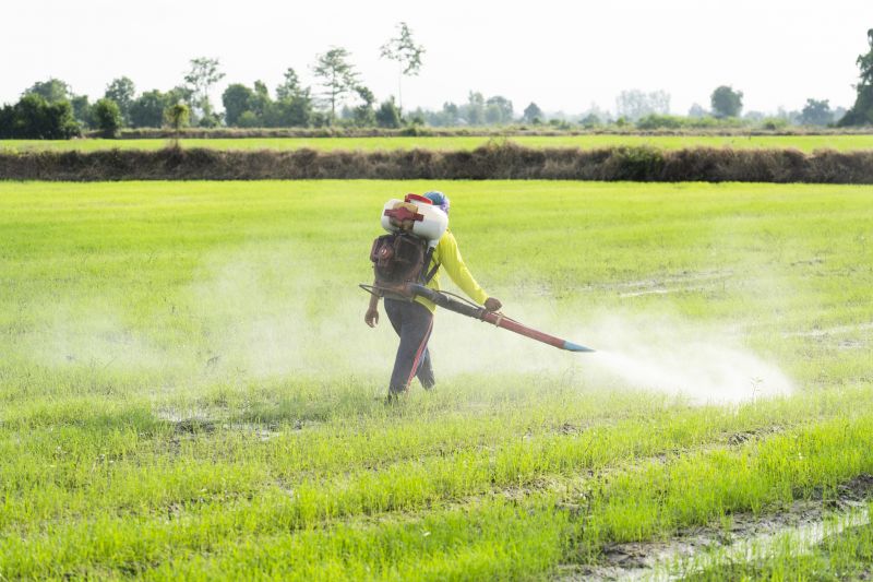 Contact About Fungicide Application Service